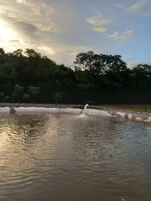 Sitio Familia Cherba - Cabana Do Lago Videira Brazil
